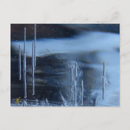 Desert Vision Quest, Saguaro at Night ポストカード (正面)