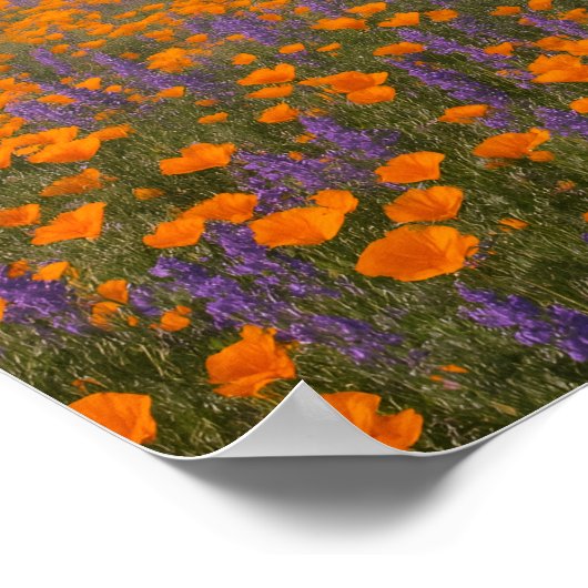 Desert Wildflowers Greeting Card - Spring Western ポスター (角)