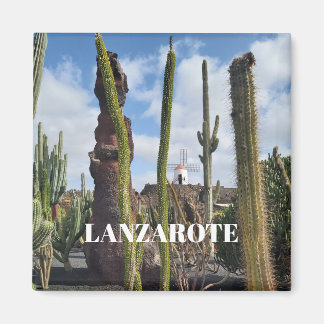 “Desert Windmill and Cactus” Magnet マグネット