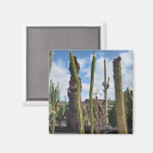 “Desert Windmill and Cactus” Magnet マグネット (正面/裏面)