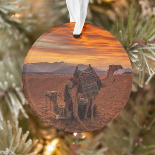 Deserts | Bactrian Camel Egypt Sand Dune オーナメント (ツリー)