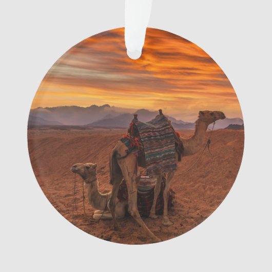 Deserts | Bactrian Camel Egypt Sand Dune オーナメント (正面)