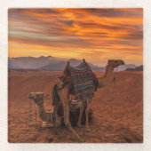 Deserts | Bactrian Camel Egypt Sand Dune ガラスコースター (正面)