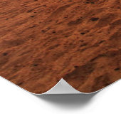 Deserts | Bactrian Camel Egypt Sand Dune ポスター (角)