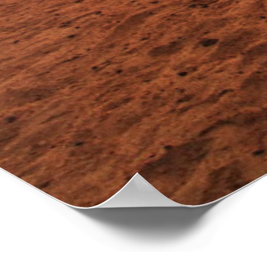 Deserts | Bactrian Camel Egypt Sand Dune ポスター (角)