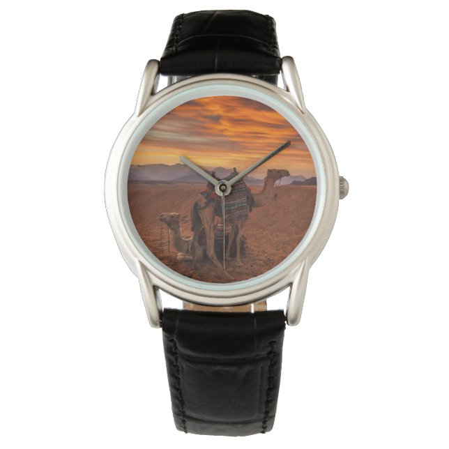 Deserts | Bactrian Camel Egypt Sand Dune 腕時計 (正面)