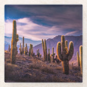 Deserts | Cactus Landscape Argentina ガラスコースター (正面)