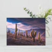 Deserts | Cactus Landscape Argentina サンキューカード (スタンド正面)
