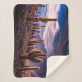 Deserts | Cactus Landscape Argentina シェルパブランケット (正面)