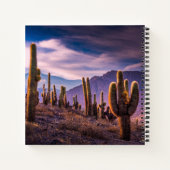 Deserts | Cactus Landscape Argentina ノートブック (裏面)