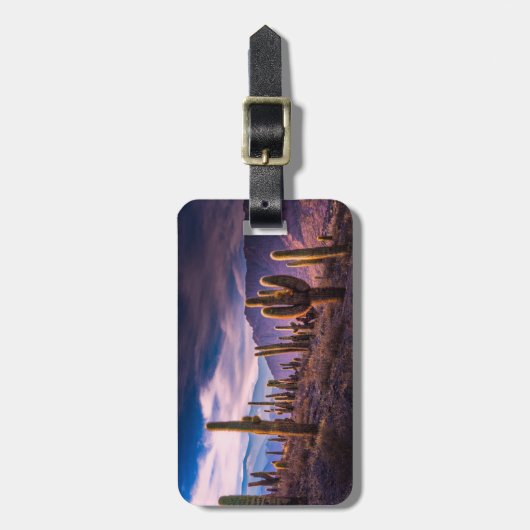 Deserts | Cactus Landscape Argentina ラゲッジタグ (正面縦)