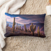 Deserts | Cactus Landscape Argentina ランバークッション (ブランケット)