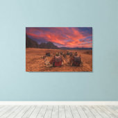 Deserts | Camels Sinai Mountains Egypt キャンバスプリント (インサイチュ (ウッドフロア))