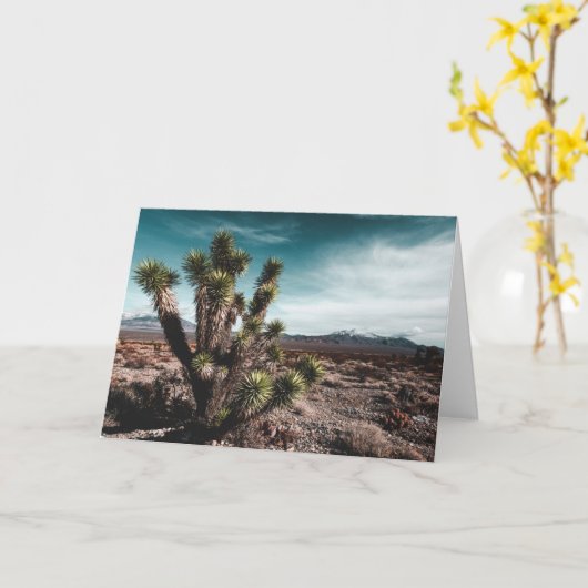 Deserts | Cholla Cactus カード (黄色い花)