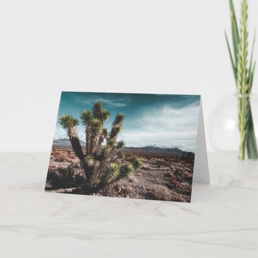 Deserts | Cholla Cactus カード (正面)