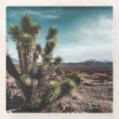 Deserts | Cholla Cactus ガラスコースター (正面)
