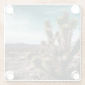Deserts | Cholla Cactus ガラスコースター (裏面)