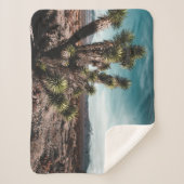 Deserts | Cholla Cactus シェルパブランケット (正面)