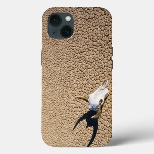 Deserts | Cow Skull on the Desert Ground Case-Mate iPhoneケース (裏面)