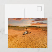 Deserts | Desert with Cow Skull ポストカード (正面/裏面)