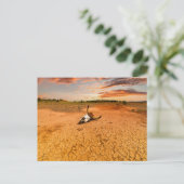 Deserts | Desert with Cow Skull ポストカード (スタンド正面)