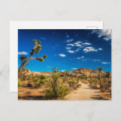 Deserts | Joshua Tree National Park ポストカード (正面/裏面)