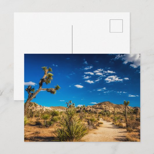 Deserts | Joshua Tree National Park ポストカード (正面/裏面)
