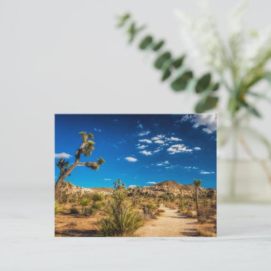 Deserts | Joshua Tree National Park ポストカード (スタンド正面)