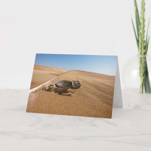 Deserts | Namaqua Chameleon in Desert カード (正面)