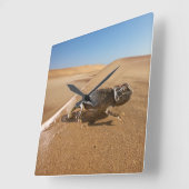 Deserts | Namaqua Chameleon in Desert スクエア壁時計 (傾斜)