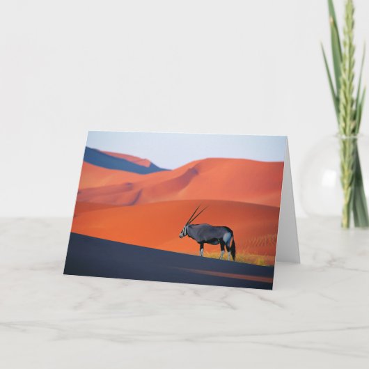 Deserts | Namib Desert Oryx カード (正面)