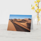 Deserts | Namib Naukluft National Park カード (黄色い花)