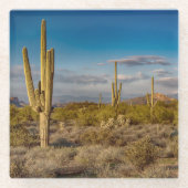 Deserts | Superstition Mountains, Arizona ガラスコースター (正面)