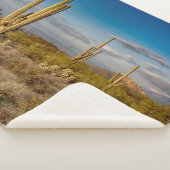 Deserts | Superstition Mountains, Arizona シェルパブランケット (3/4)
