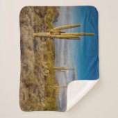 Deserts | Superstition Mountains, Arizona シェルパブランケット (正面)