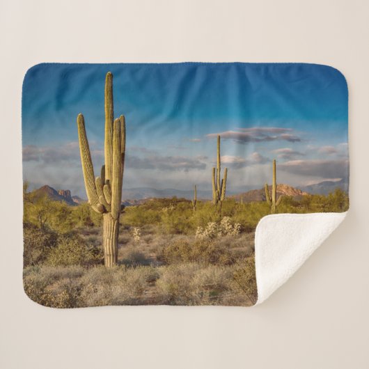 Deserts | Superstition Mountains, Arizona シェルパブランケット (正面(横))