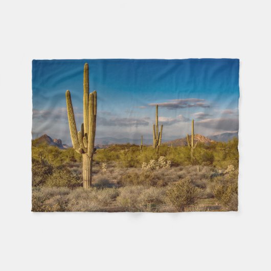 Deserts | Superstition Mountains, Arizona フリースブランケット (正面(横))