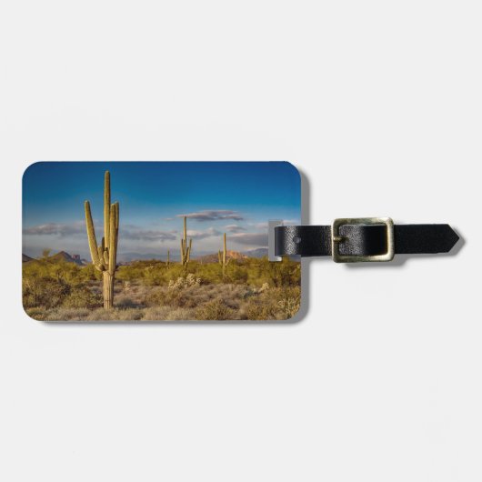 Deserts | Superstition Mountains, Arizona ラゲッジタグ (正面横)