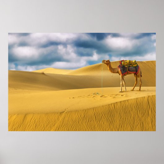 Deserts | Thar Desert Rajasthan India Camel ポスター (正面)