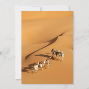 Deserts Tuareg Walk with Camels サンキューカード