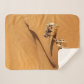 Deserts | Tuareg Walk with Camels シェルパブランケット (正面(横))