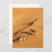 Deserts | Tuareg Walk with Camels ポストカード (正面/裏面)