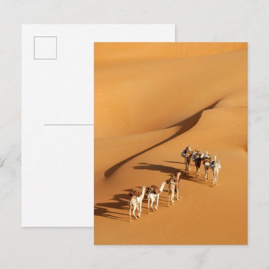 Deserts | Tuareg Walk with Camels ポストカード (正面/裏面)