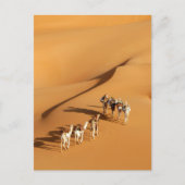 Deserts | Tuareg Walk with Camels ポストカード (正面)