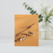 Deserts | Tuareg Walk with Camels ポストカード (スタンド正面)