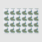 Desiフェスティバルスタイル 薄葉紙 (正面)