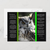 DESIDERATAホー素晴らしンフクロウ葉書2 ポストカード (正面/裏面)
