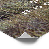 DESIDERATAマウンテンアウトハウスポスター ポスター (角)