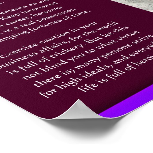 DESIDERATA滝ポスター10 ポスター (角)