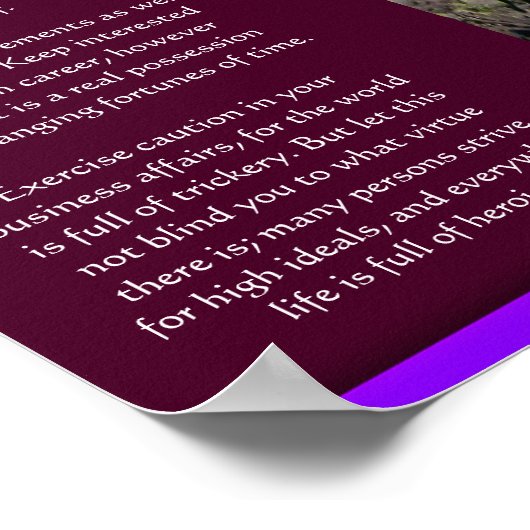 DESIDERATA滝ポスター3 ポスター (角)